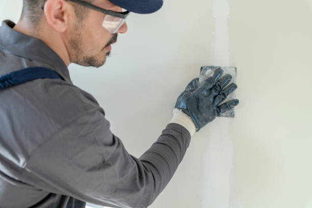 Professional Dry wall and painting in Belle Haven, VA